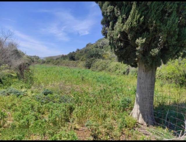 (For Sale) Land Plot || Rethymno/Geropotamos - 8.432 Sq.m, 180.000€ 